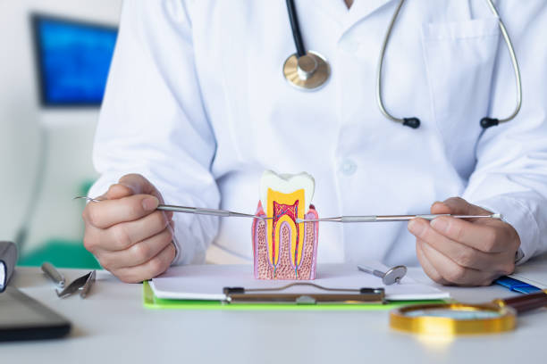 Best Emergency Root Canal Treatment in Bellefontaine, OH